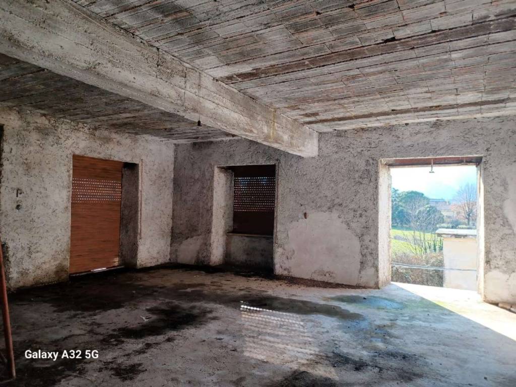 immagine annuncio 4 di 7
