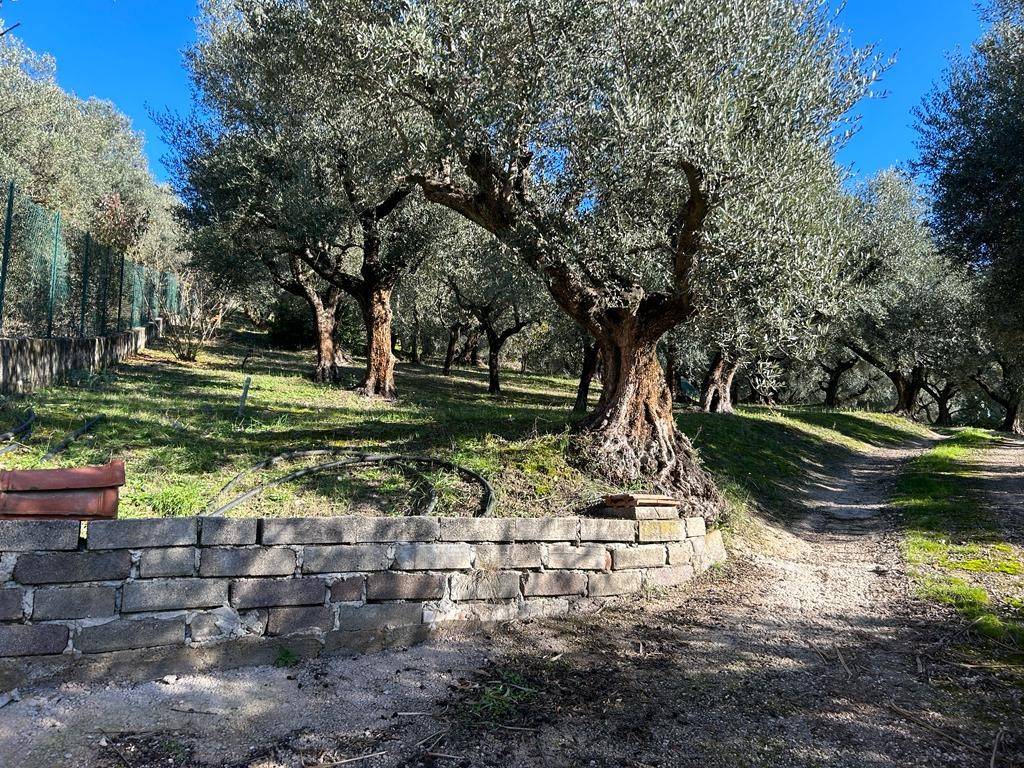immagine annuncio 2 di 14