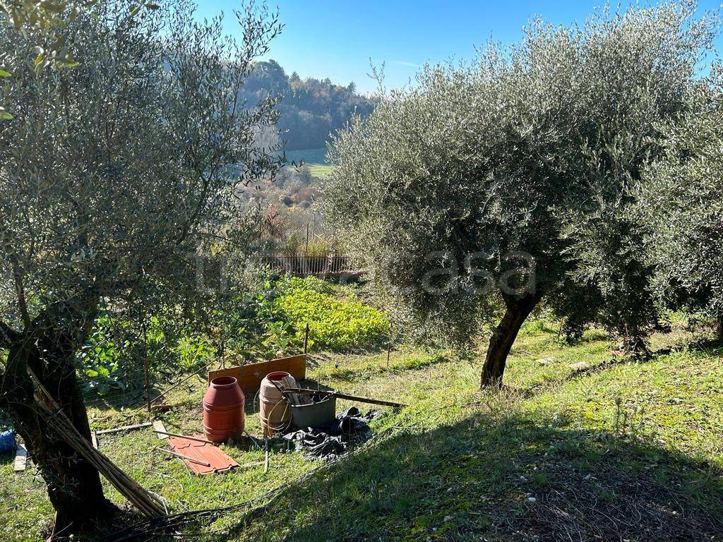immagine annuncio 4 di 14
