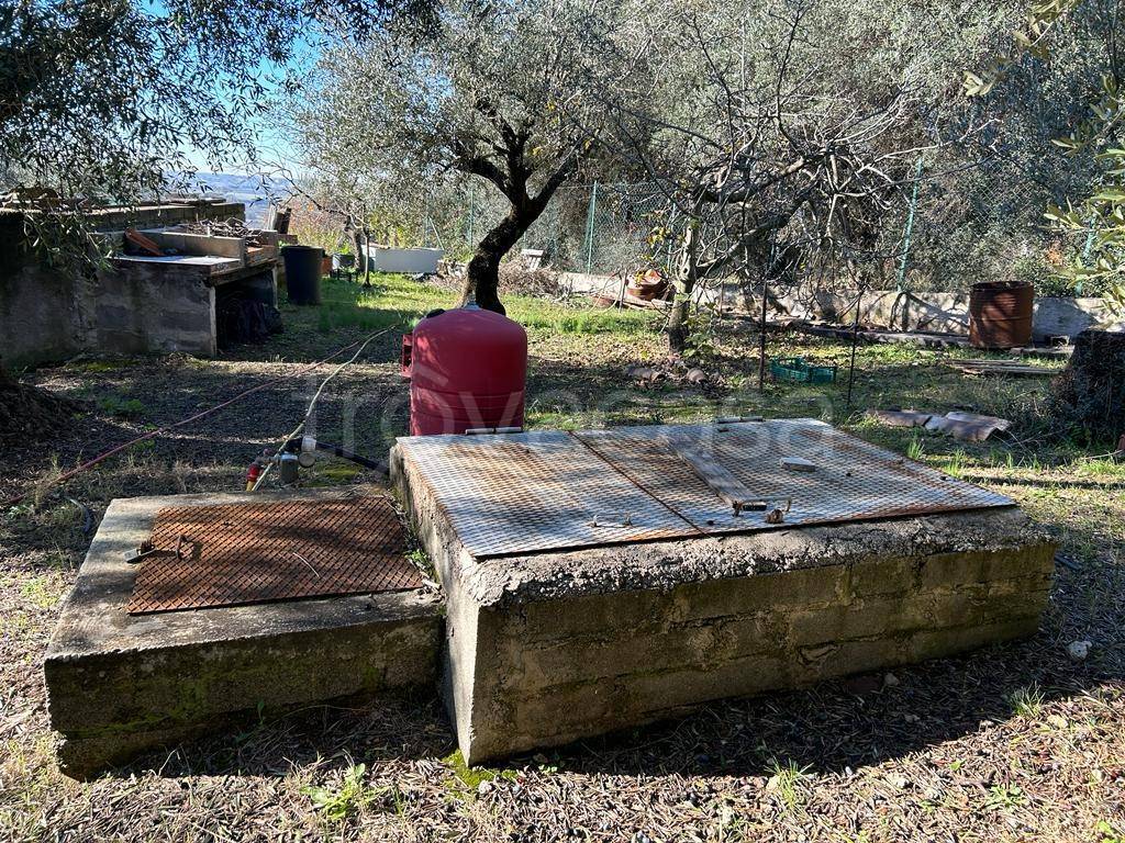 immagine annuncio 7 di 14