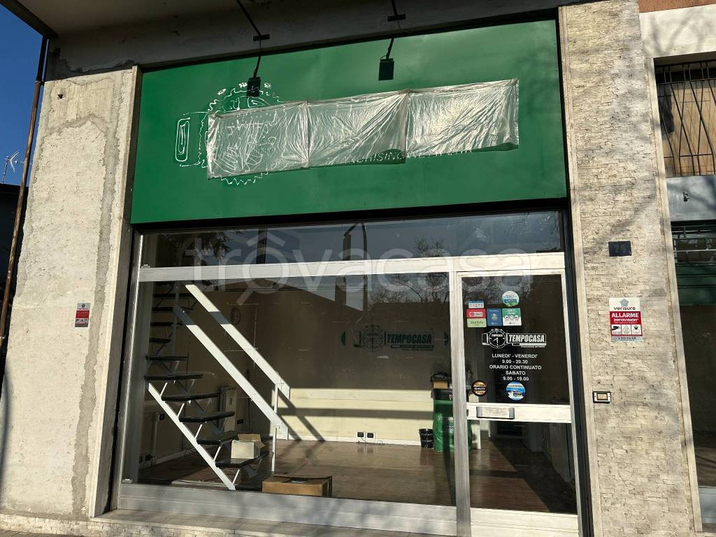 immagine annuncio 3 di 11