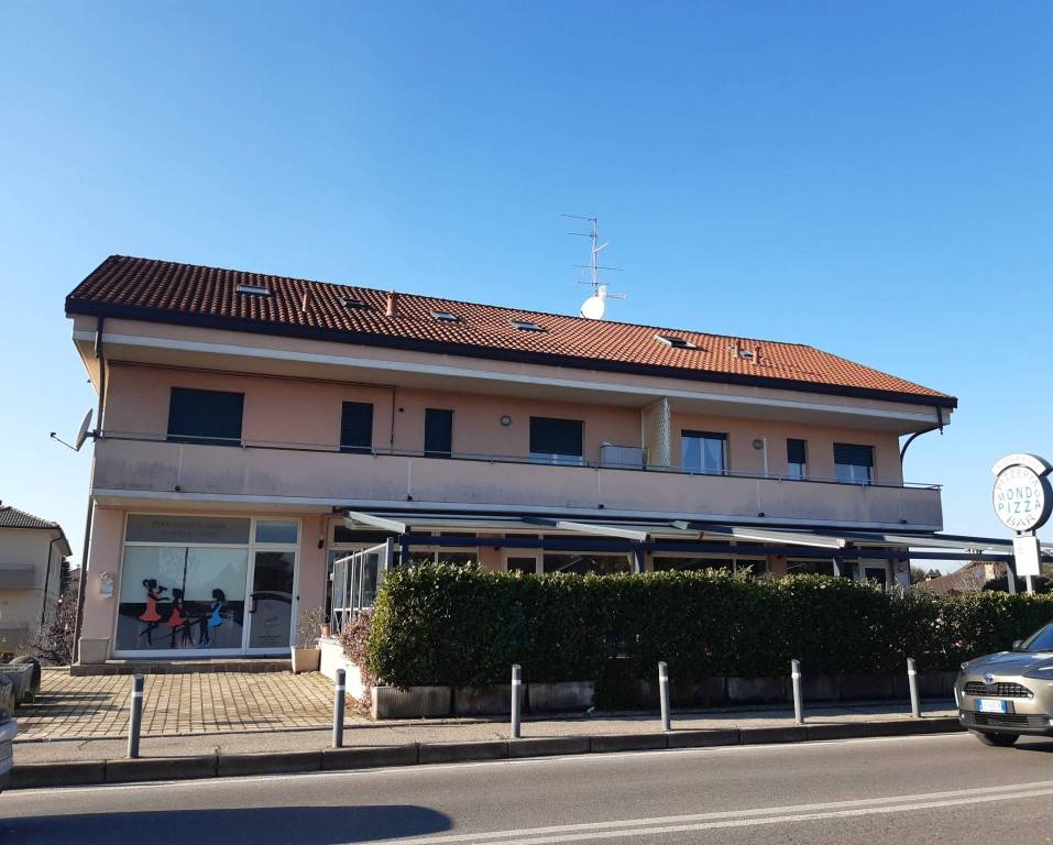 immagine annuncio 3 di 11