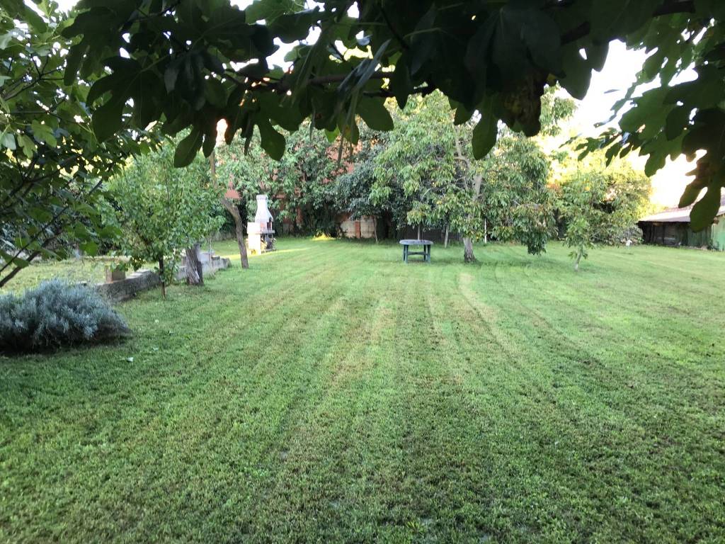 immagine annuncio 2 di 14