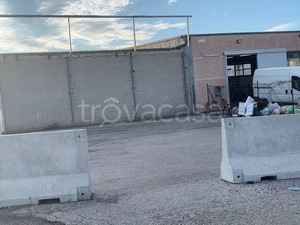 immagine annuncio 6 di 9