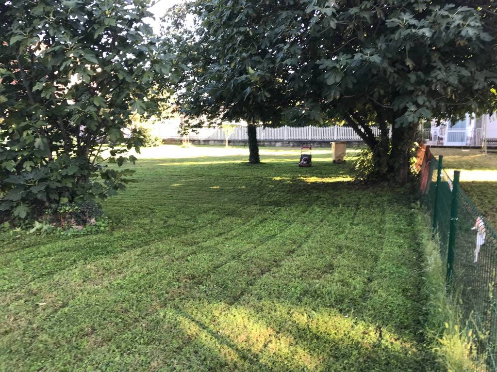 immagine annuncio 3 di 14