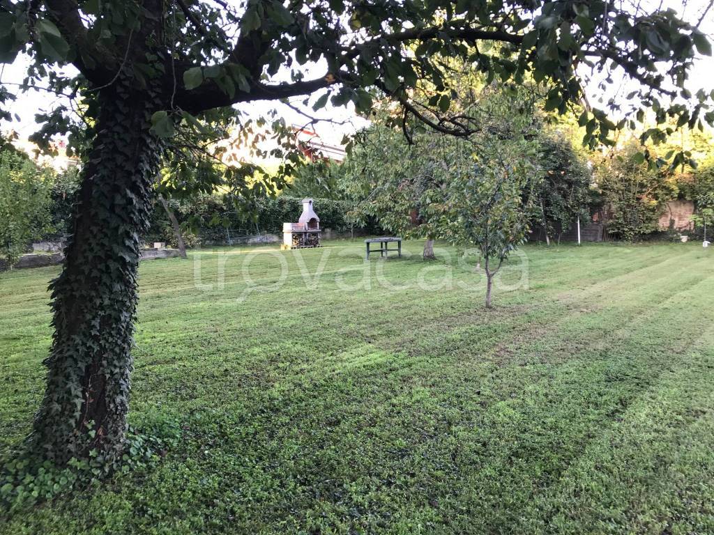 immagine annuncio 5 di 14