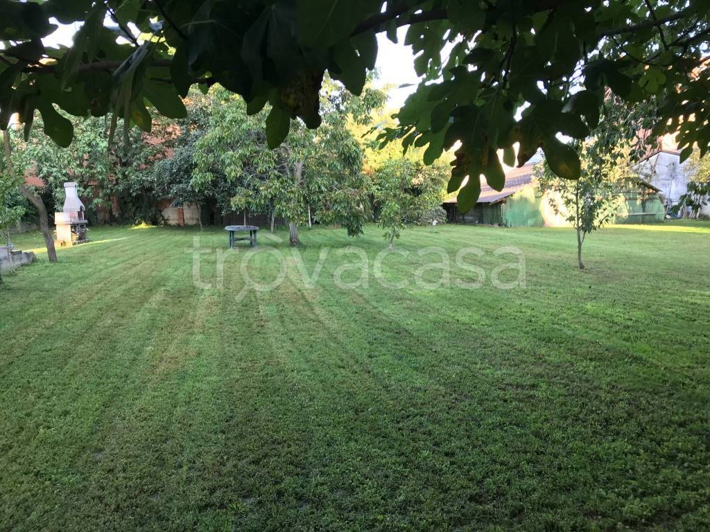 immagine annuncio 6 di 14