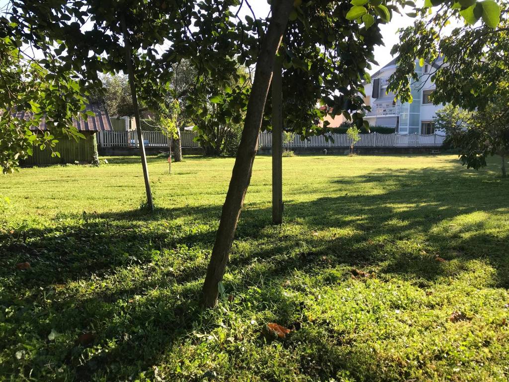 immagine annuncio 11 di 14