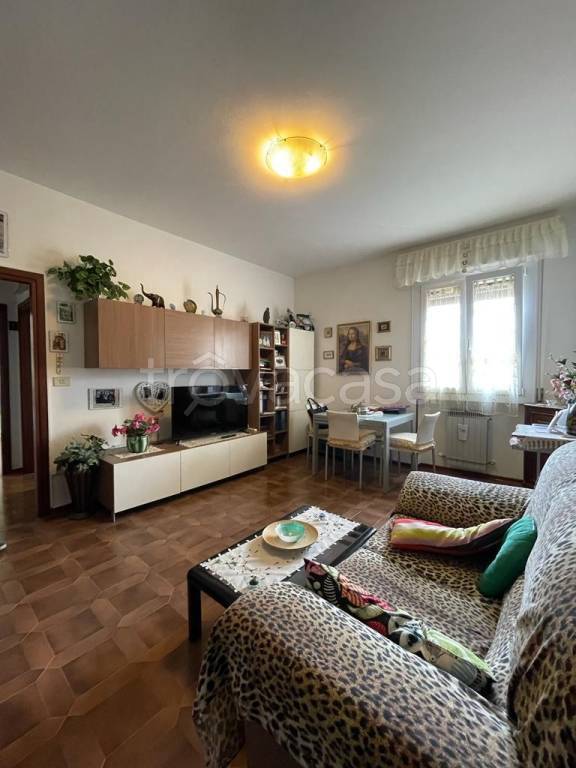 Appartamento in vendita a Castel Bolognese biancanigo
