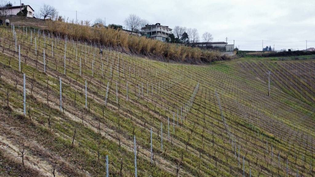 immagine annuncio 13 di 15