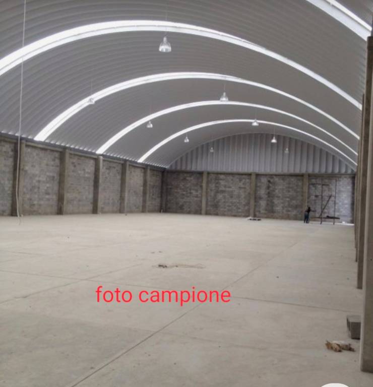 immagine annuncio 7 di 8