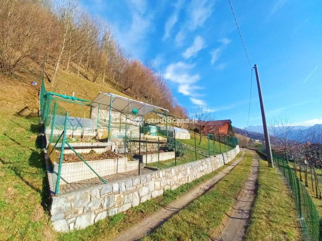 immagine annuncio 3 di 10