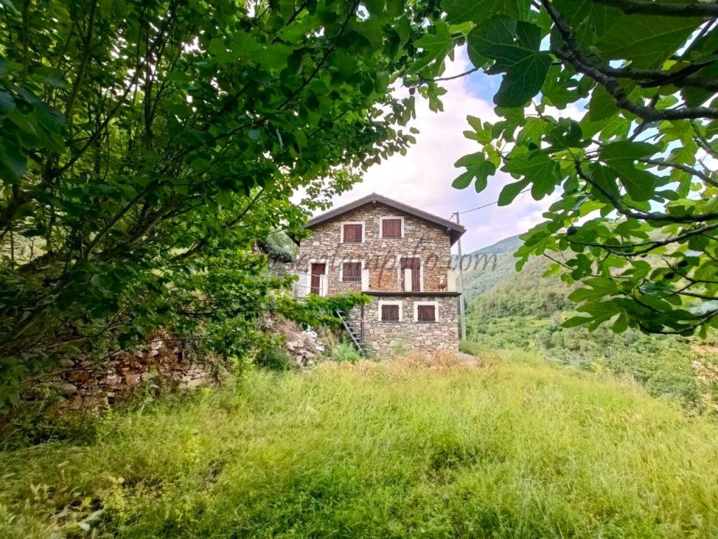 Villa in vendita a Isolabona sp64