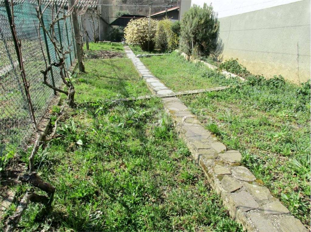 immagine annuncio 12 di 14