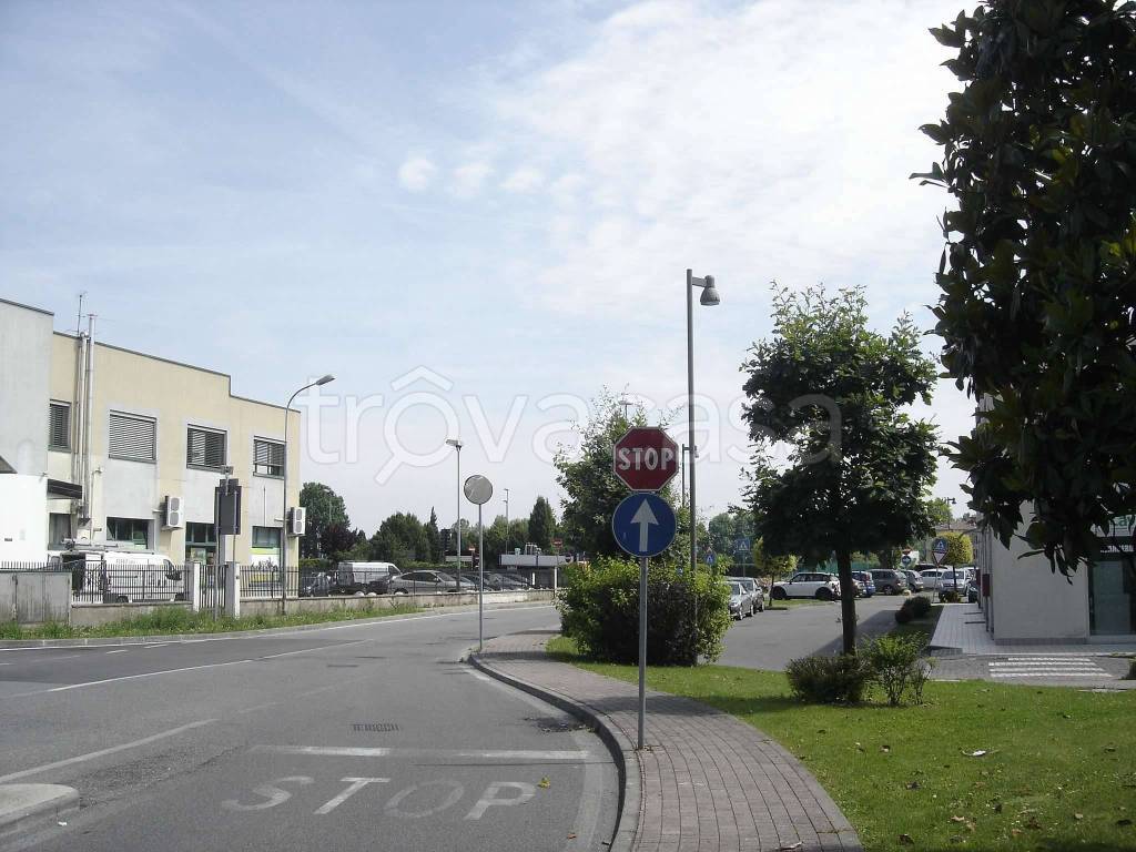 immagine annuncio 9 di 14