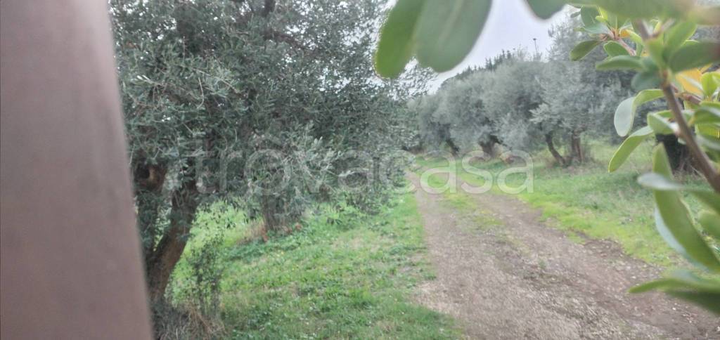 immagine annuncio 6 di 9