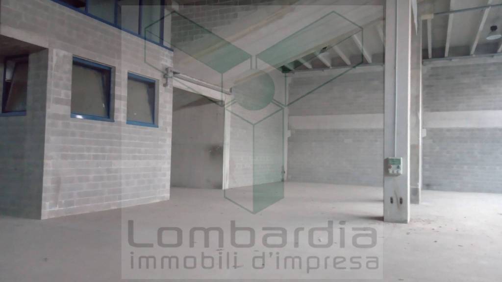 immagine annuncio 2 di 7