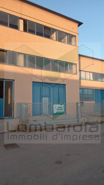 immagine annuncio 3 di 7