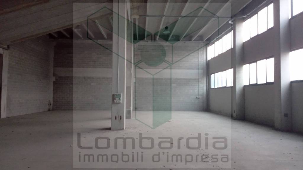 immagine annuncio 5 di 7