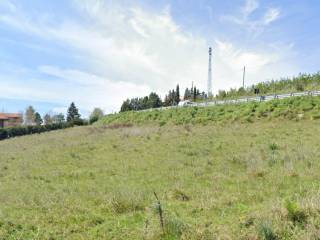 Terreno agricolo in affitto a bronte contrada difesa, snc