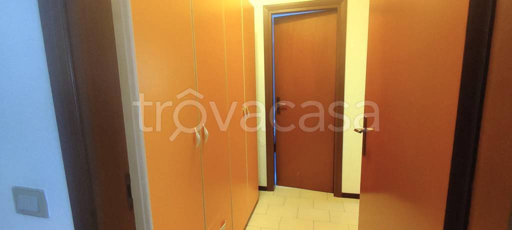 immagine annuncio 9 di 14