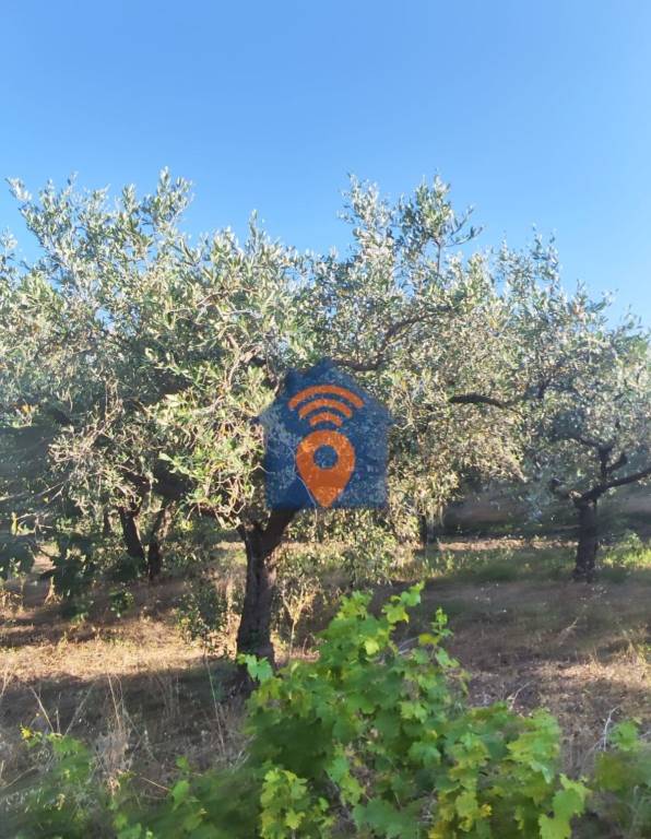 immagine annuncio 6 di 9