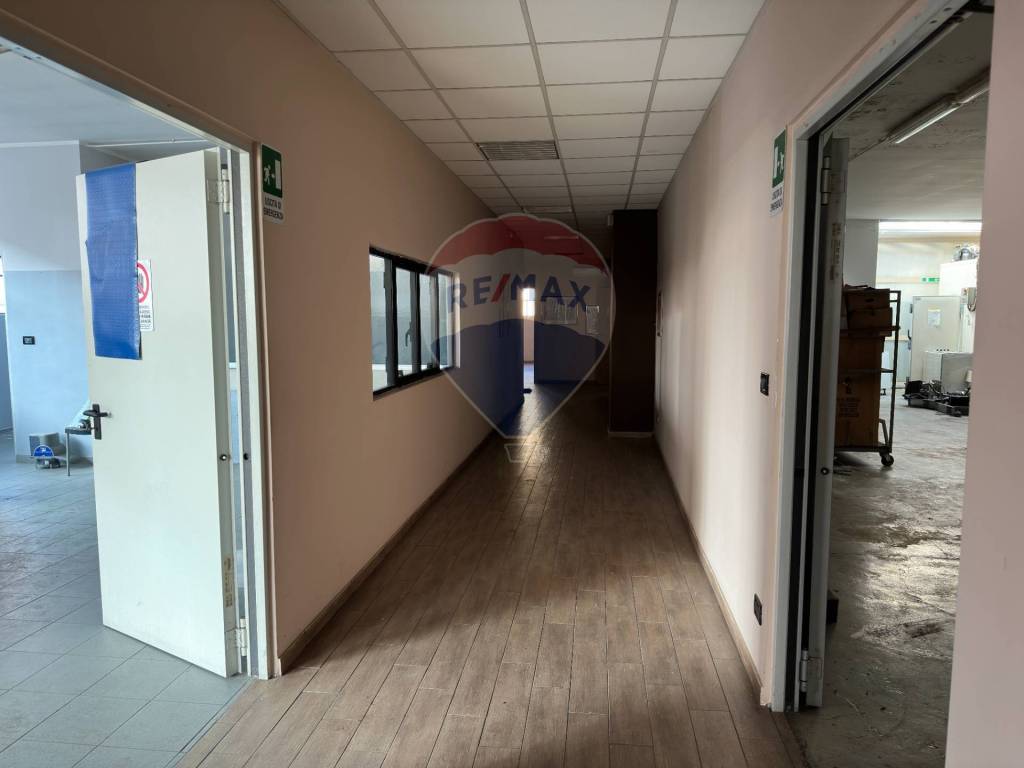 immagine annuncio 7 di 14