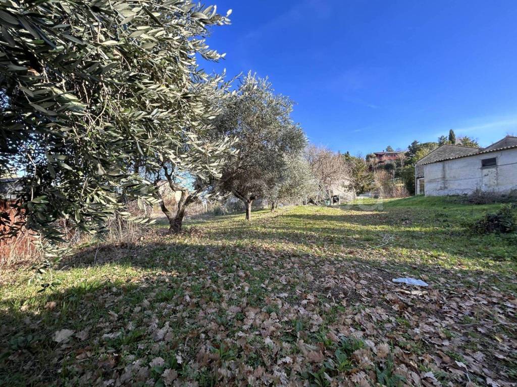 immagine annuncio 10 di 14