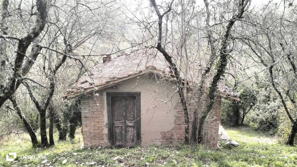 immagine annuncio 5 di 13