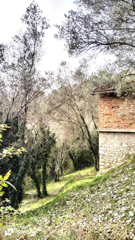 immagine annuncio 6 di 13