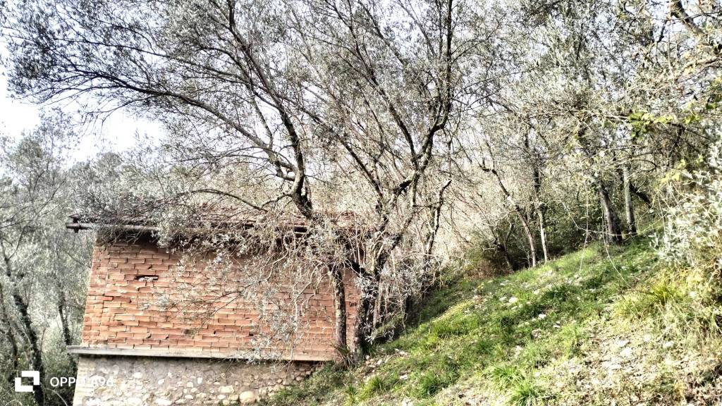 immagine annuncio 7 di 13