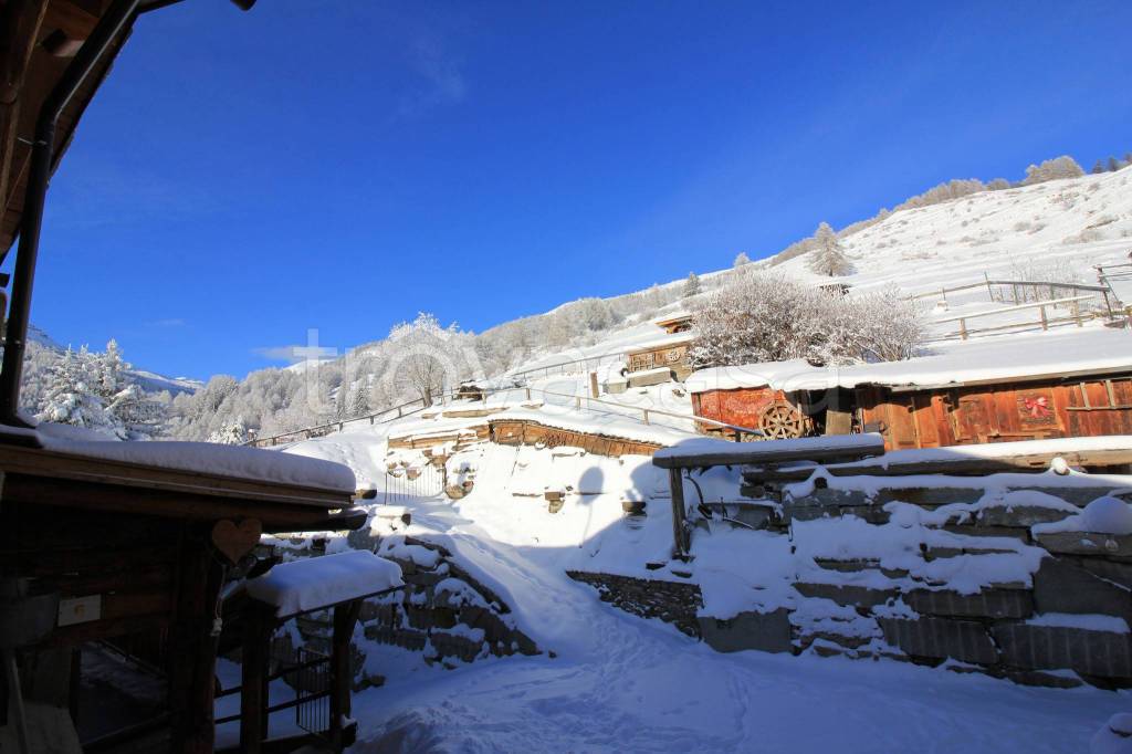 immagine annuncio 10 di 13