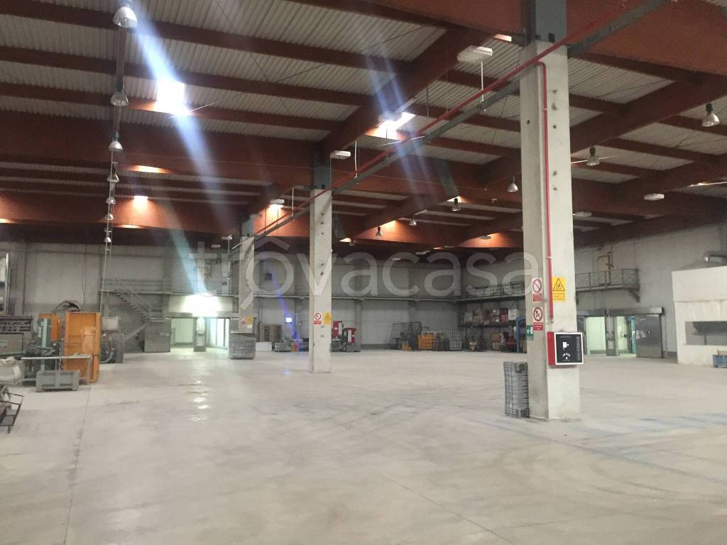 immagine annuncio 4 di 8