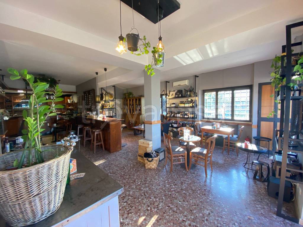 Bar in vendita a Frascati viale Enrico Fermi