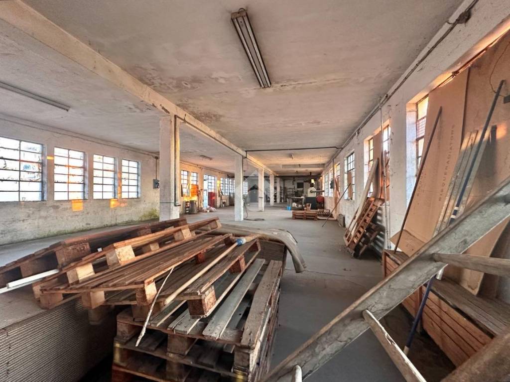 immagine annuncio 6 di 15