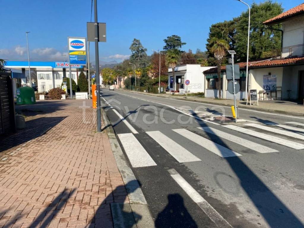 immagine annuncio 3 di 14