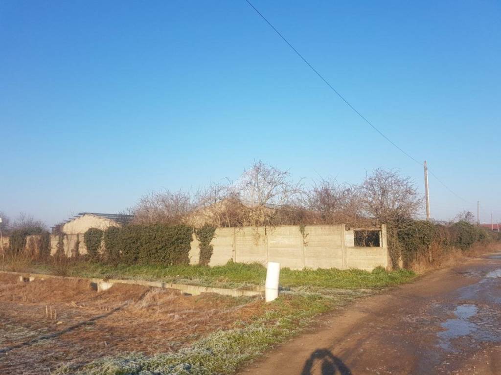 immagine annuncio 12 di 15