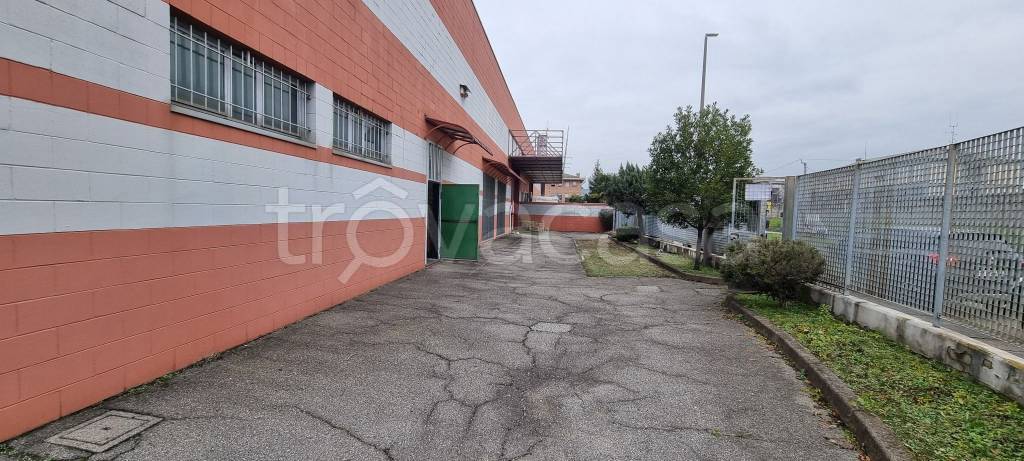 immagine annuncio 10 di 15