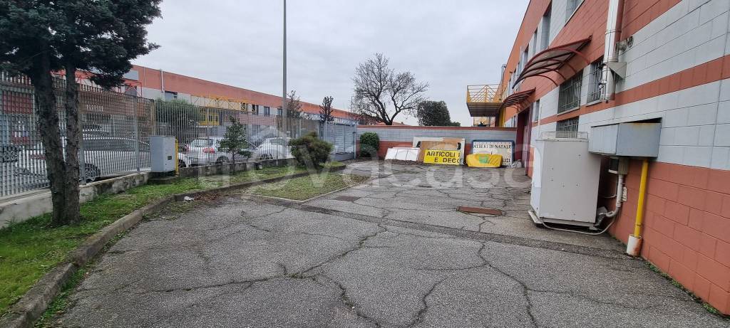 immagine annuncio 9 di 15