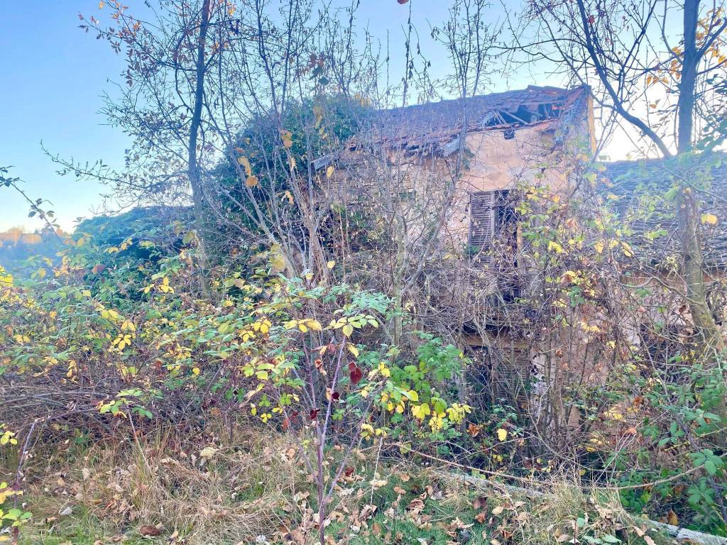 immagine annuncio 2 di 6