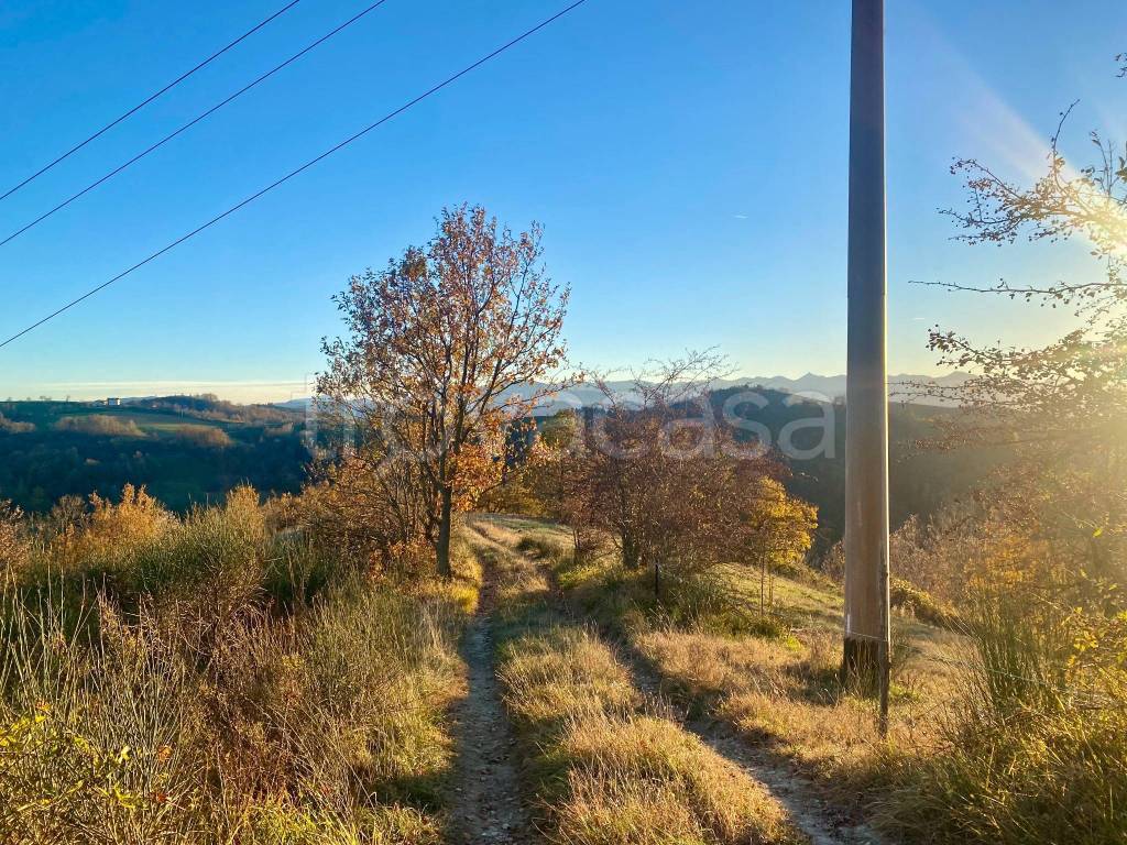 immagine annuncio 4 di 6