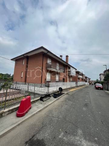 immagine annuncio 9 di 12