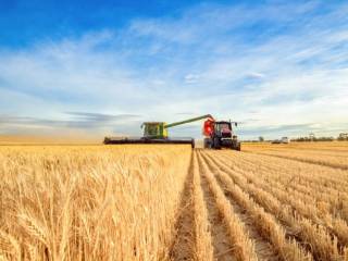 Terreno agricolo in vendita a cona via rottanova