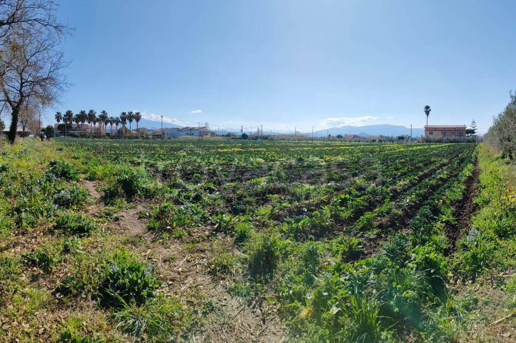 Terreno Agricolo in vendita a Eboli via Boscariello, 164