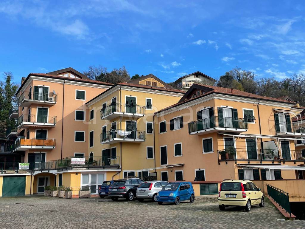 immagine annuncio 2 di 13