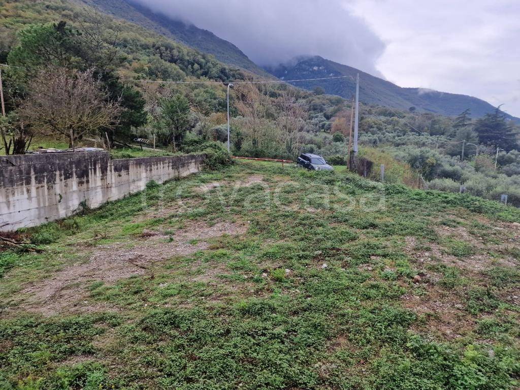 immagine annuncio 2 di 7