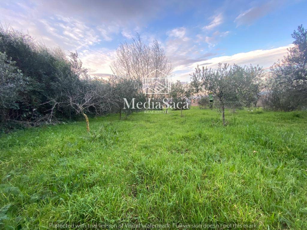 Terreno Agricolo in vendita a Massa di Somma via Sandro Pertini