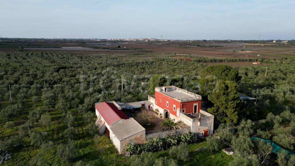 Masseria in vendita a Ruvo di Puglia contrada Monserino, Snc