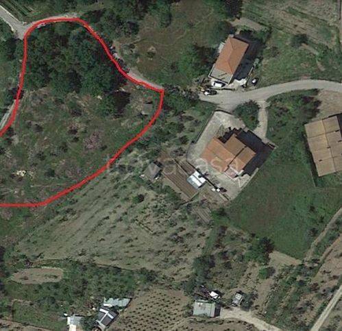 Terreno Agricolo in vendita a Guardia Sanframondi via Cesco Martone