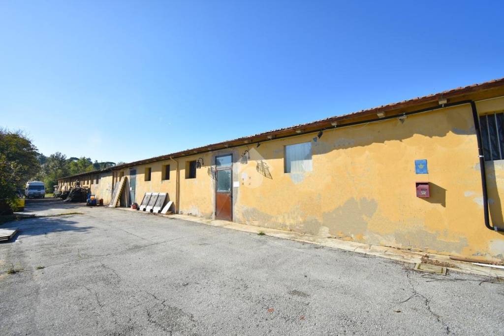immagine annuncio 5 di 8